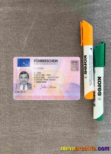 Austria driving license 2013 - present photolook